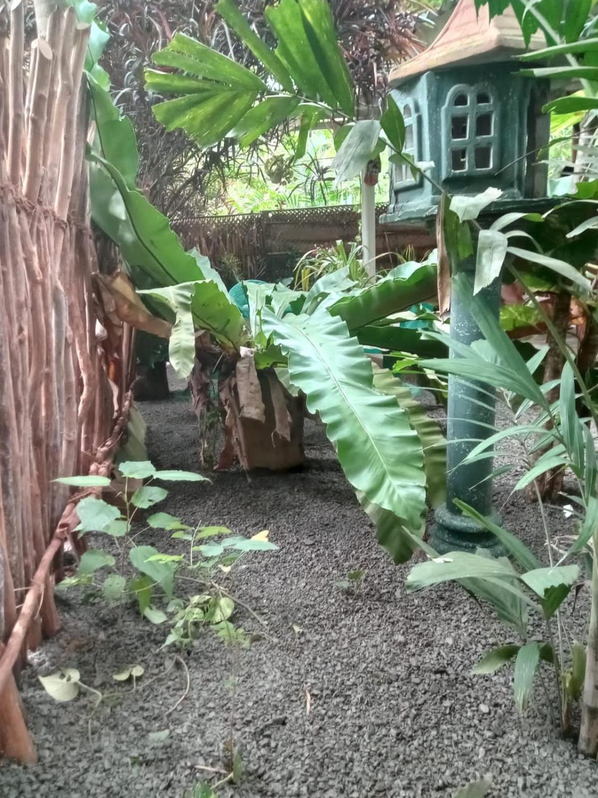 Apartamento Hiriketiya Mahi Surf Dikwella Sur Exterior foto